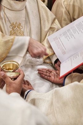 os-novais-y-od-alves-fagildo-jose_17 os-novais-y-od-alves-fagildo-jose_17