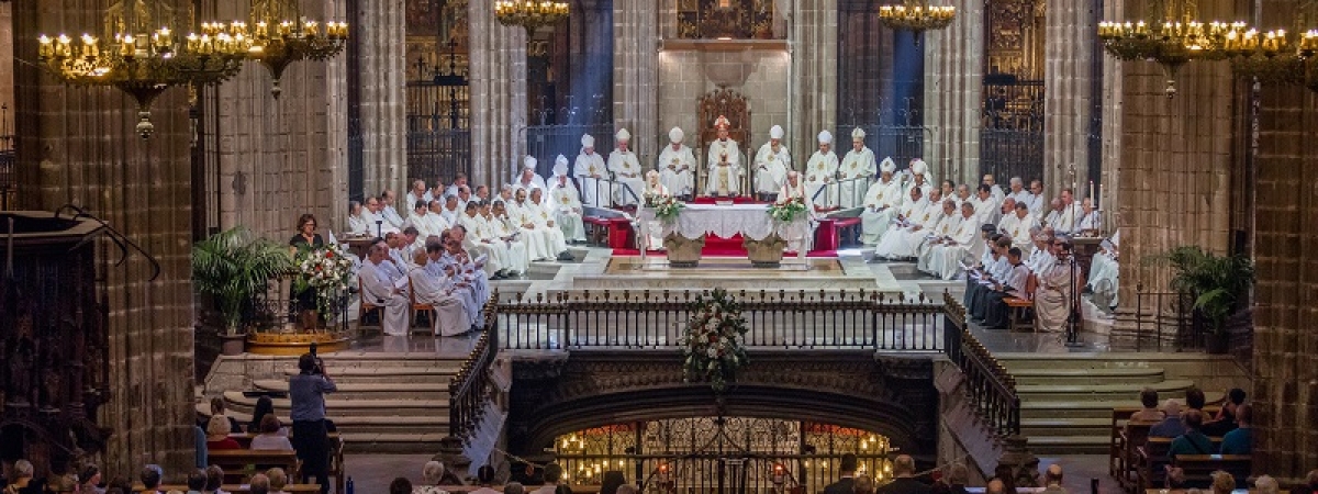 Misa de Acción de Gracias por los 800 años